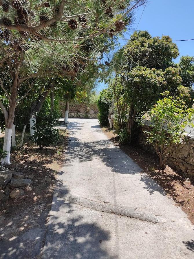 Eva'S Place Κάρυστος Εξωτερικό φωτογραφία